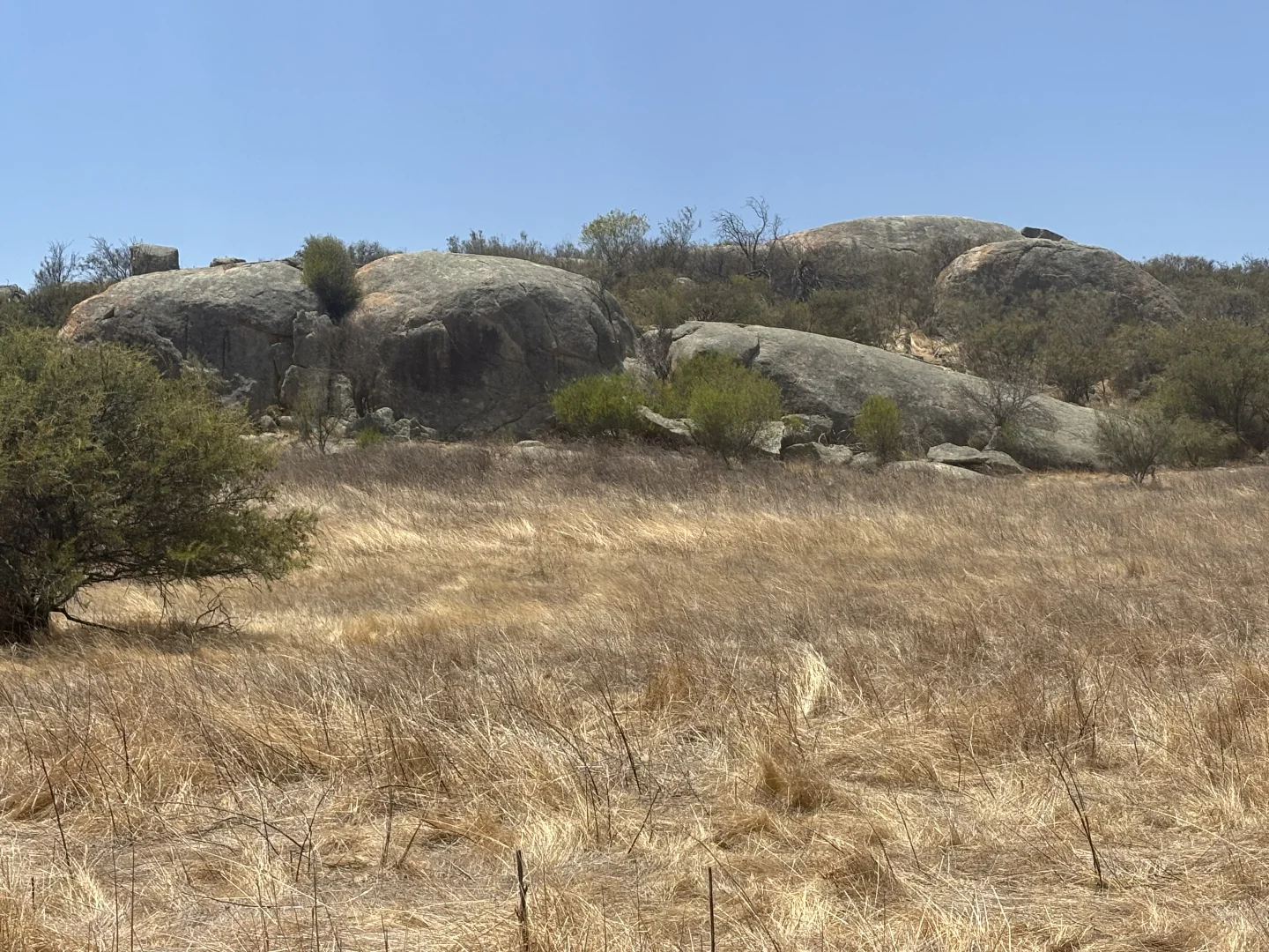 Additional image 21 of Lot 65 Forrester Road, Mount Erin WA 6532