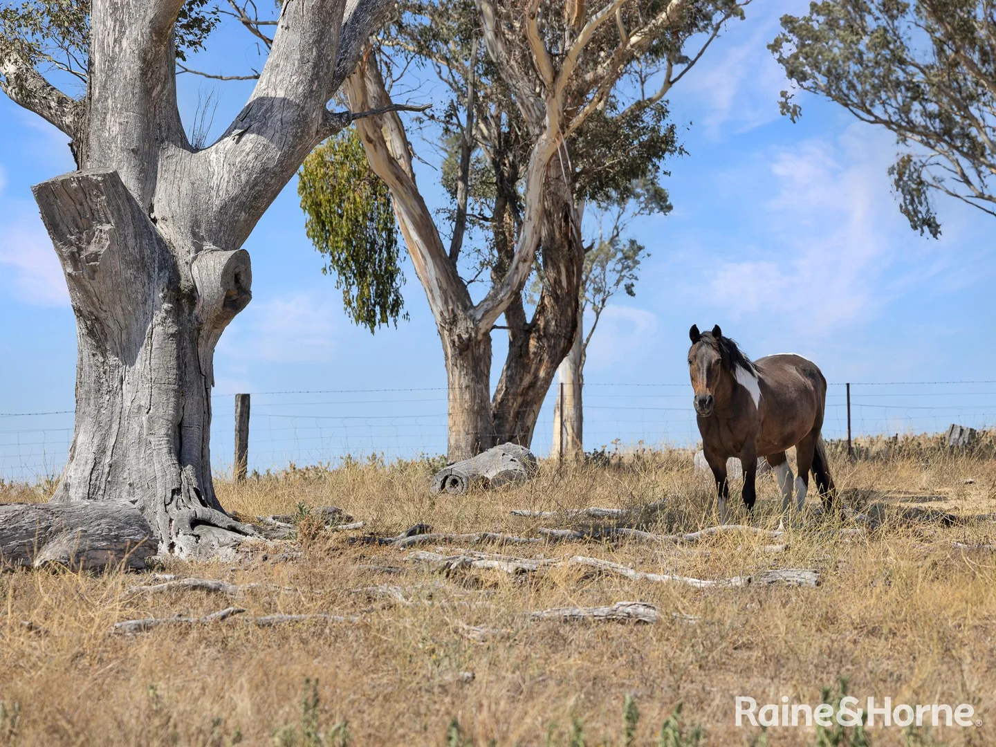 Additional image 35 of 223 Wimbledon Road, Georges Plains NSW 2795