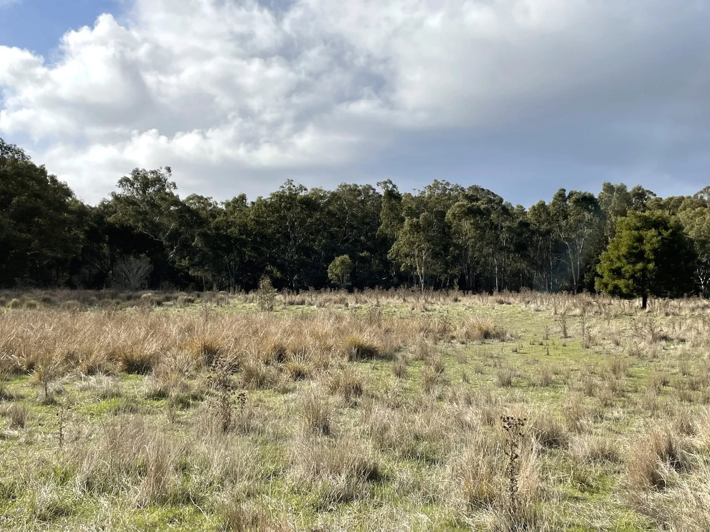 Additional image 11 of Dartmoor-Hamilton Road, Dartmoor VIC 3304