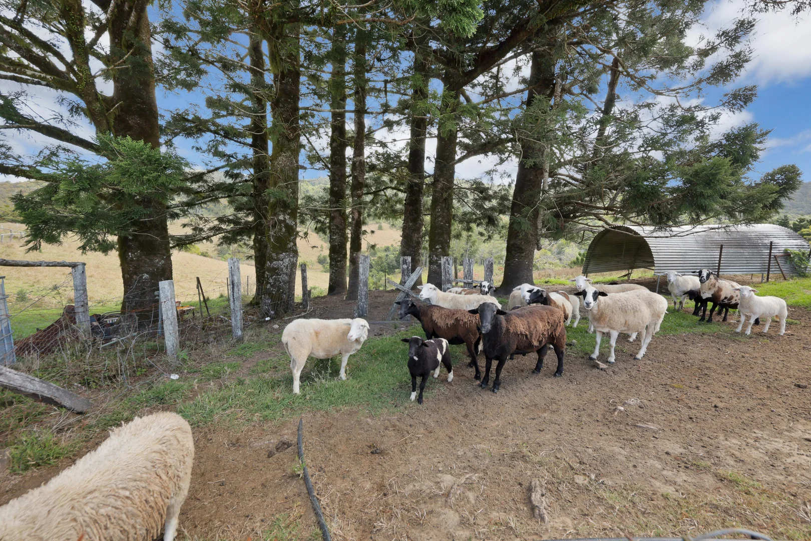 Additional image 23 of 279 Diggings Road, Eungella QLD 4757