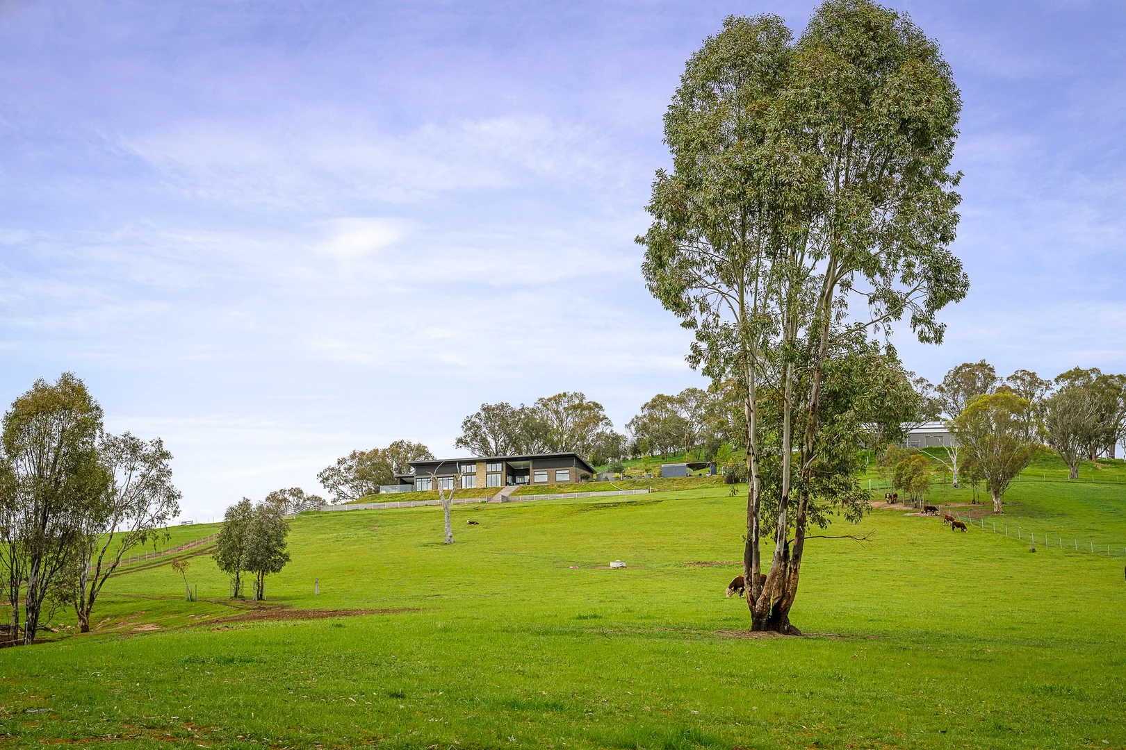 Additional image 34 of 126 Hores Road, Talgarno VIC 3691