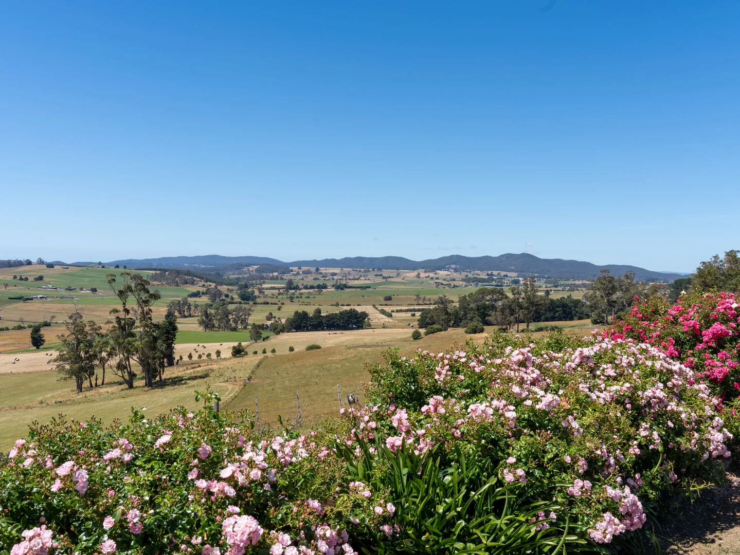 Additional image 43 of 123 Careys Road, West Kentish TAS 7306