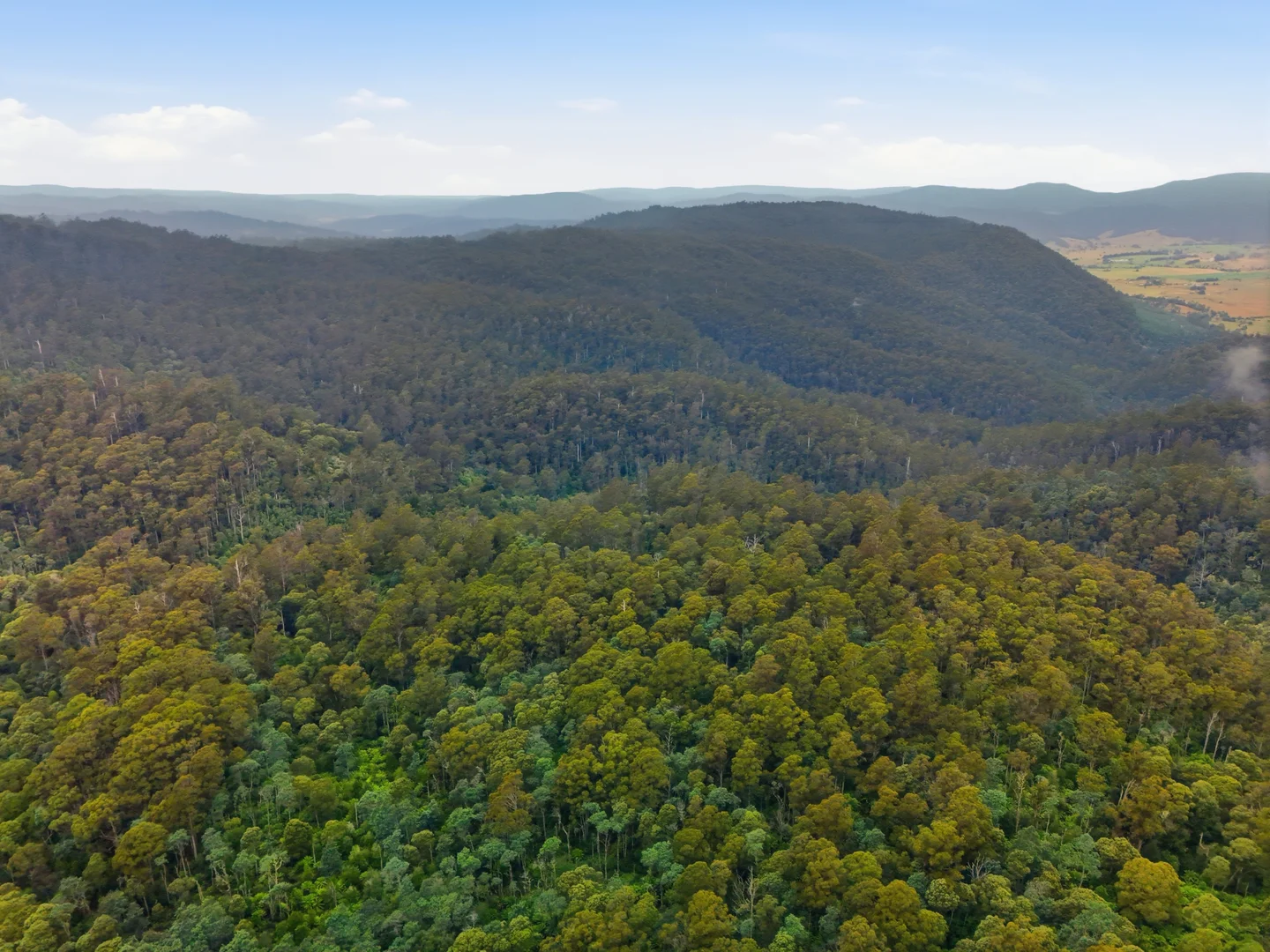 Additional image 10 of 28834 Tasman Highway, Weldborough TAS 7264