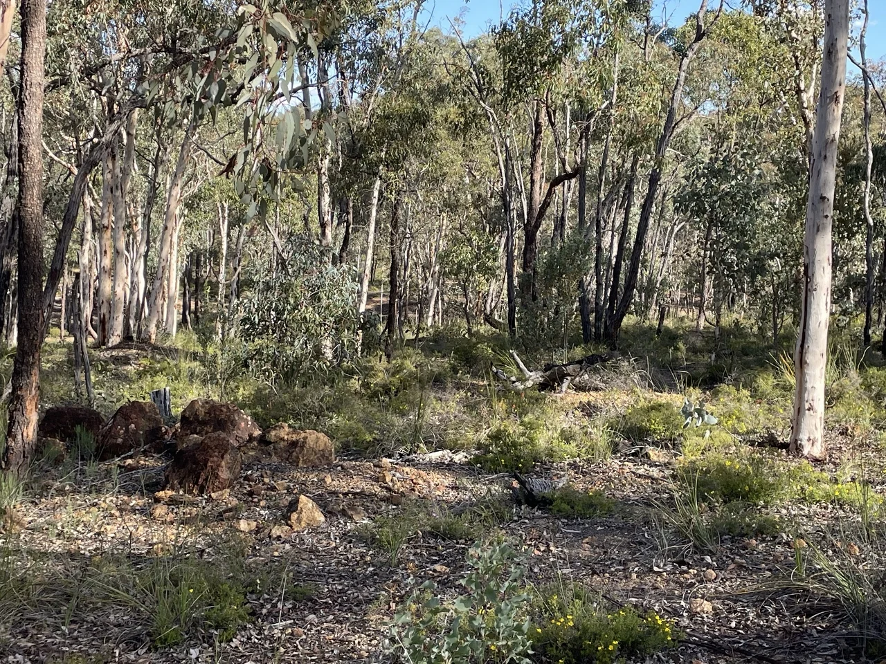 Additional image 17 of 200 Gumley Road, Bakers Hill WA 6562