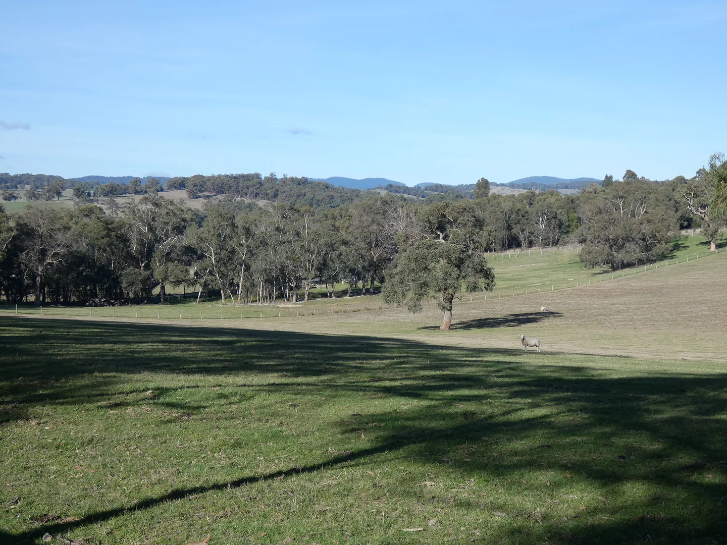 Additional image 21 of 10 Smiths Road, Yellingbo VIC 3139