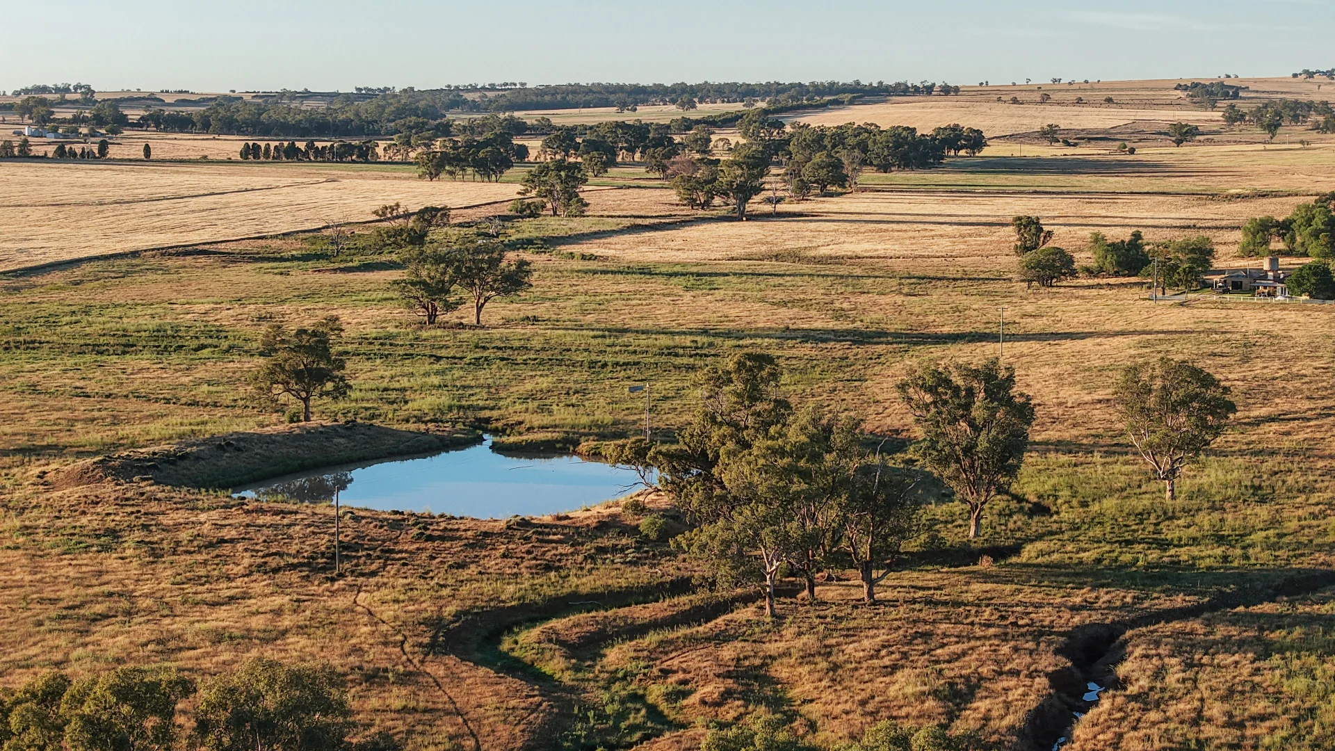 Additional image 3 of The Ranch 27R Plain Creek Road, Wongarbon NSW 2831