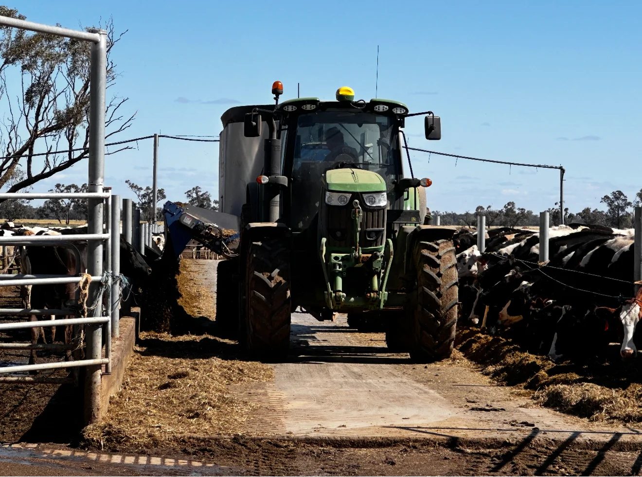 Additional image 3 of 229 Elliots Lane, Forbes NSW 2871