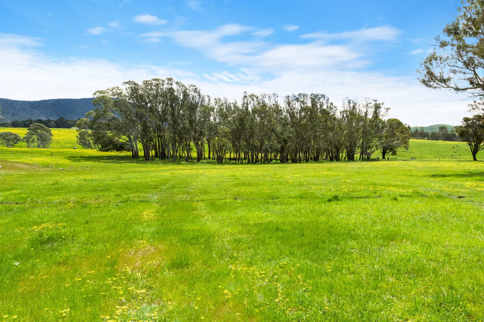 Additional image 17 of 1167 Amphitheatre Road, Mount Lonarch VIC 3468