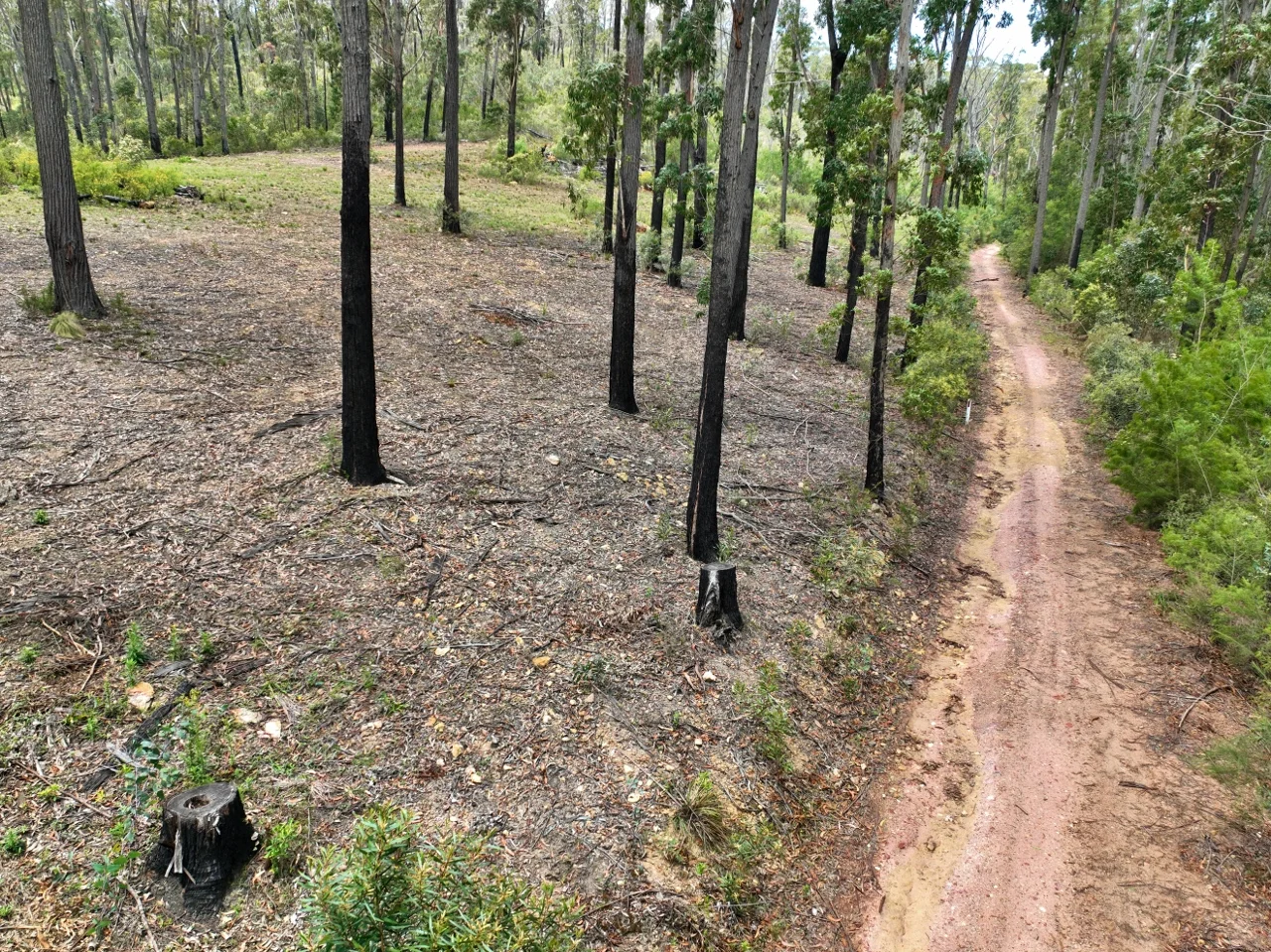 Additional image 5 of 371 Ruggs Road, Nethercote NSW 2549