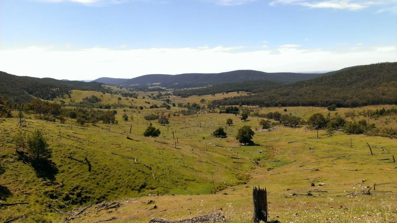 Additional image 6 of "Abercorn", 2154 Kangarooby Road, Gooloogong NSW 2805