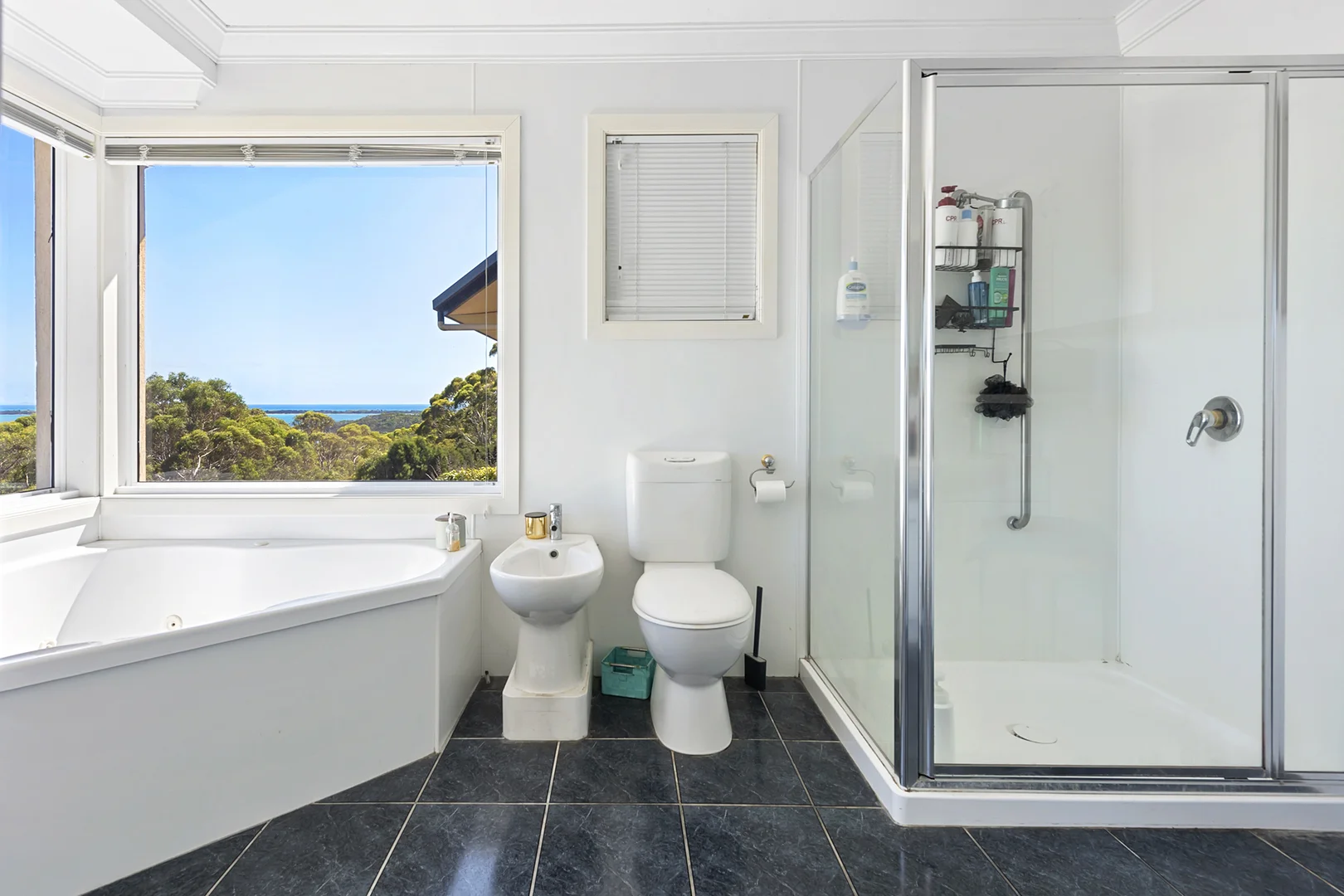 Additional image 11 of 115 Massey Street, Smithton TAS 7330