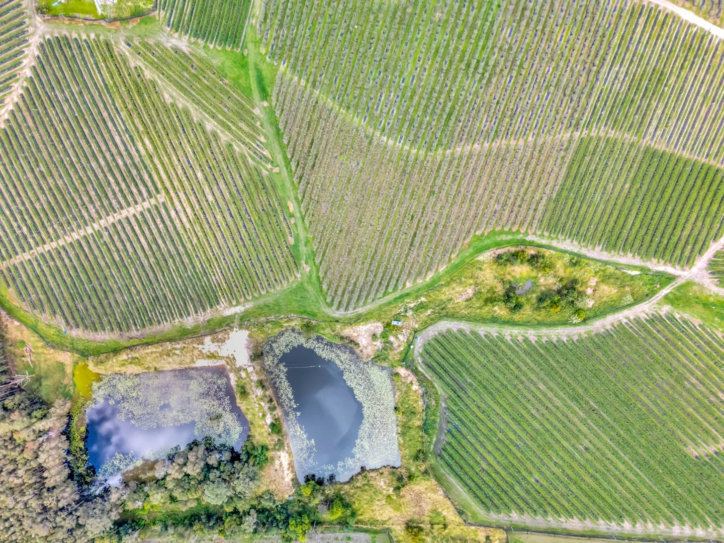 Additional image 19 of 13 Schuppe Drive, Congarinni North NSW 2447