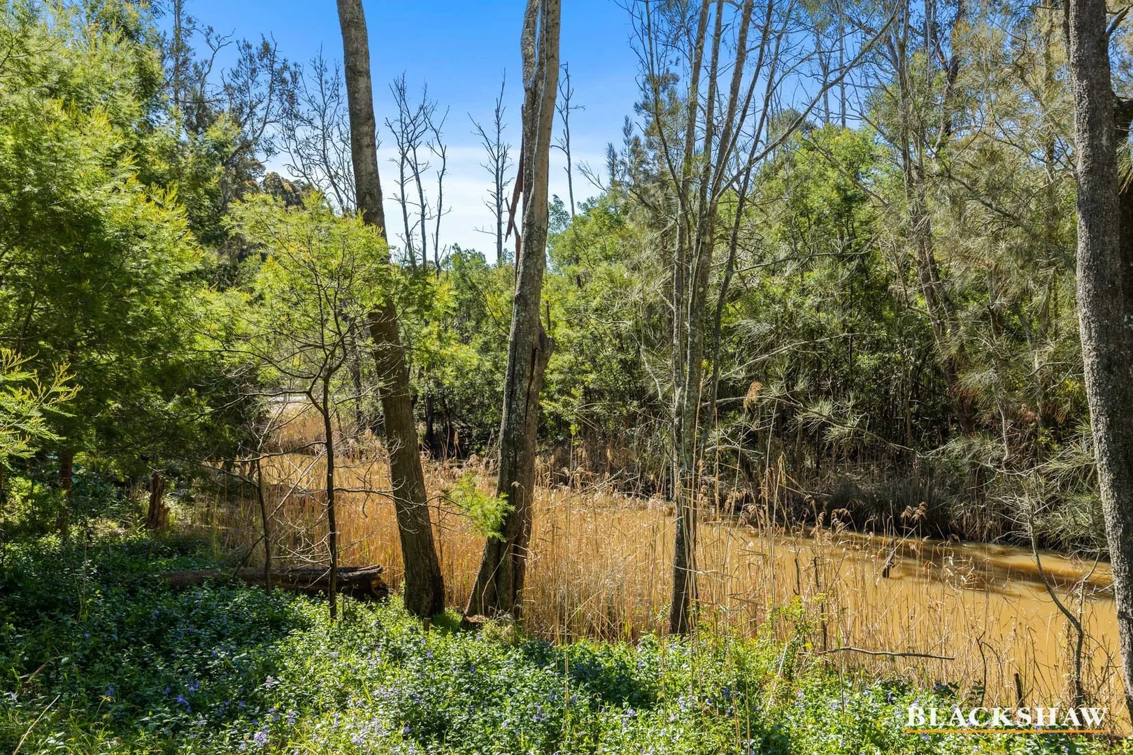 Additional image 4 of 2 Rosedale Parade, Rosedale NSW 2536