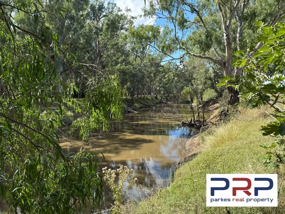 Additional image 6 of 4194 Lachlan Valley Way, Warroo NSW 2871