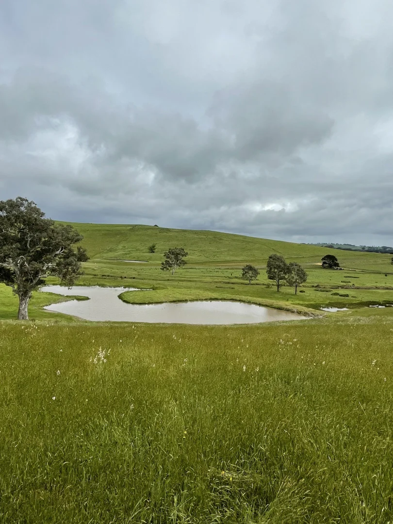Additional image 7 of Portland-Casterton Road, Henty VIC 3312