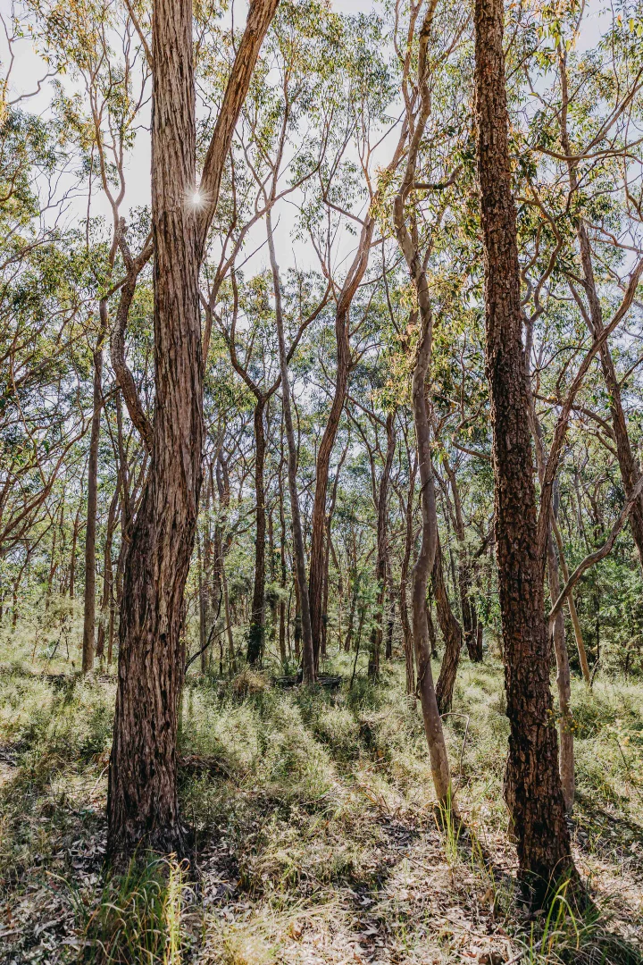 Additional image 22 of 23 Uffington Road, Duns Creek NSW 2321