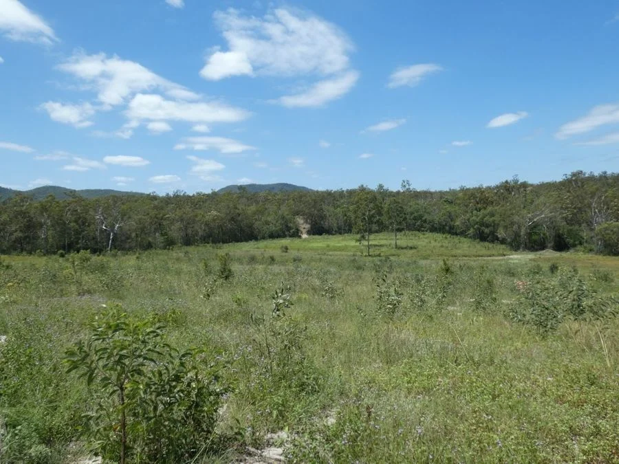 Additional image 29 of Lot 41 Moolyung Road, Waterloo QLD 4673