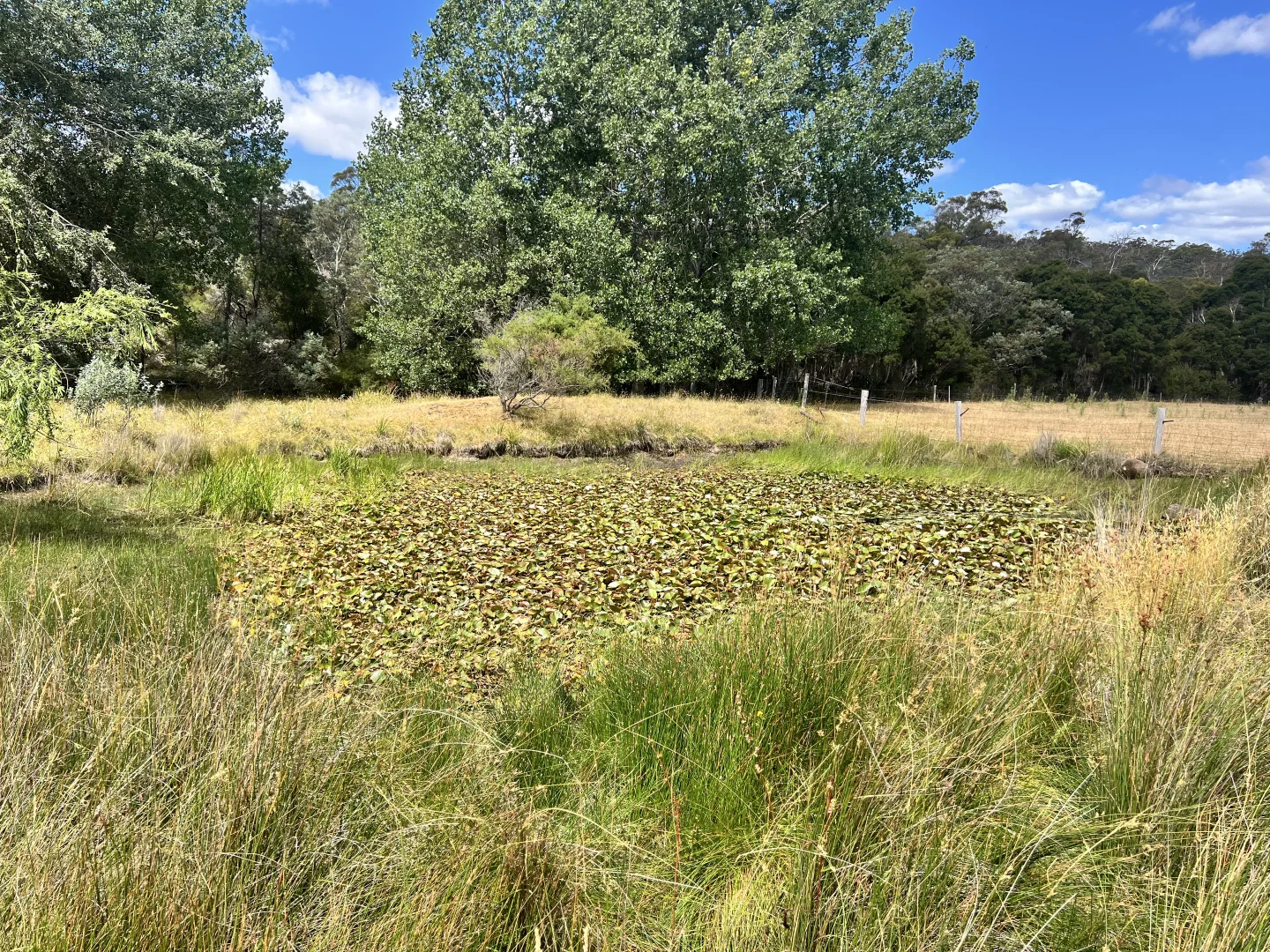 Additional image 28 of 2204 East Tamar Highway, Mount Direction TAS 7252