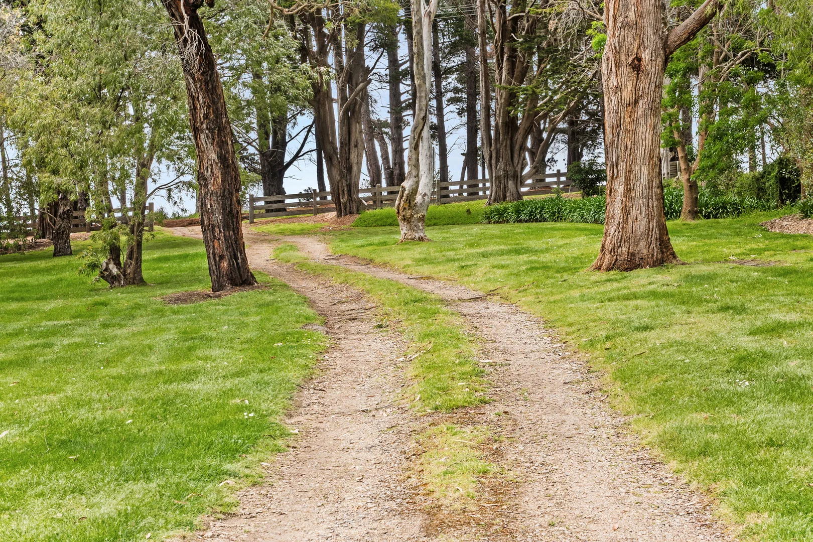 Additional image 14 of 35 Byrnes Road, Shoreham VIC 3916