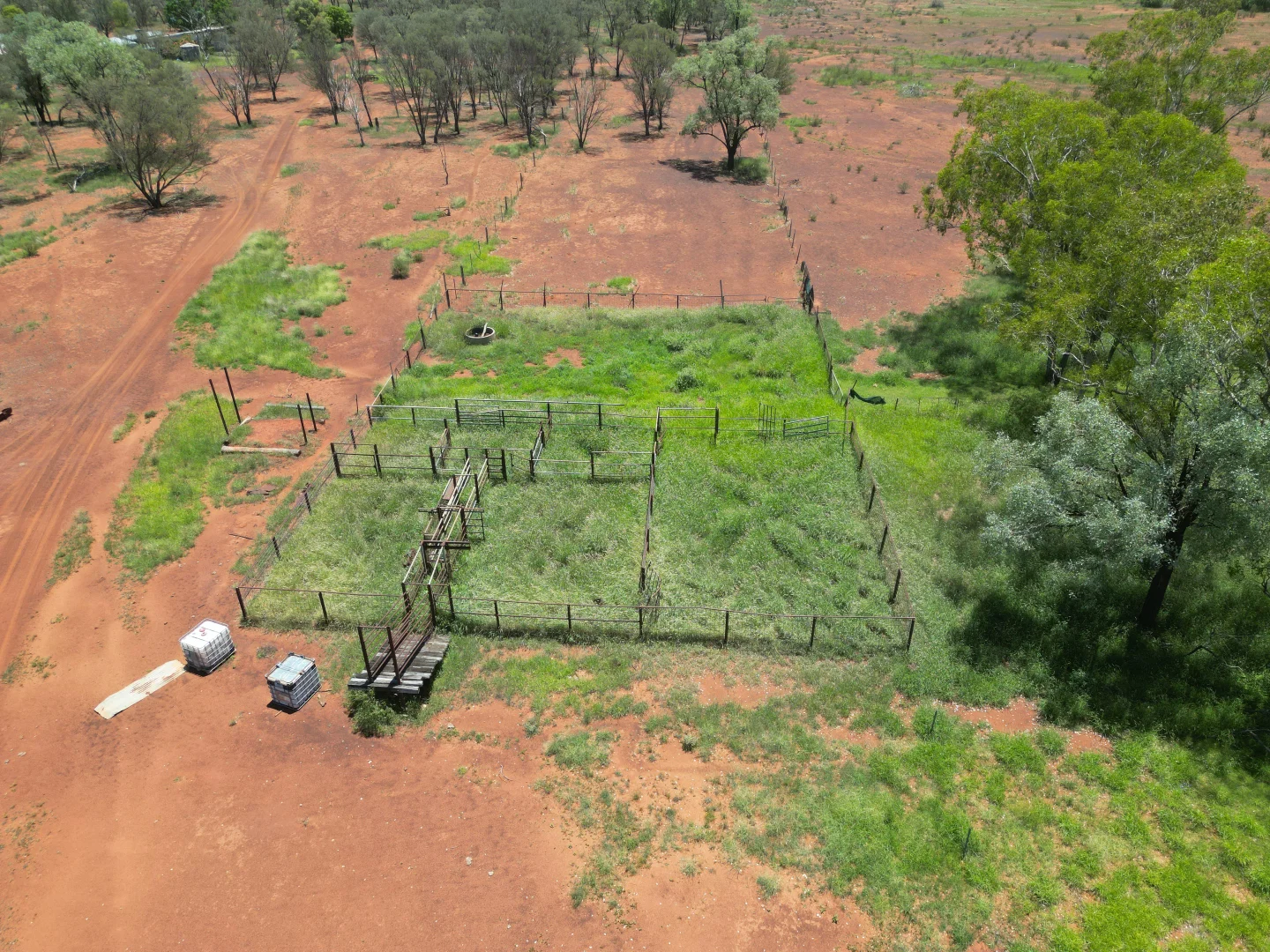 Additional image 15 of 1081 Tareela Access Road, Mungallala QLD 4467