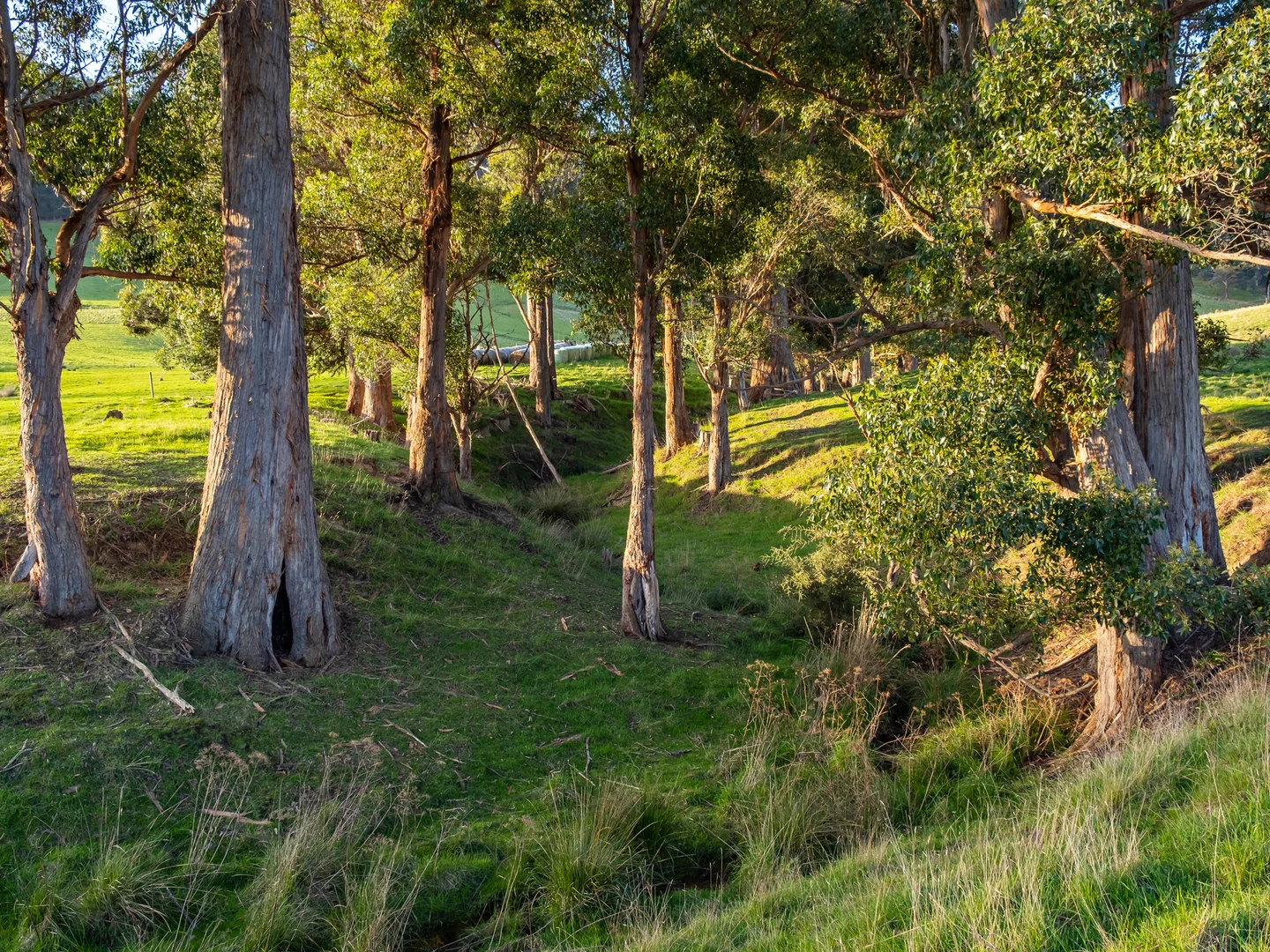 Additional image 8 of Lot 1 Winns Road, Cygnet TAS 7112