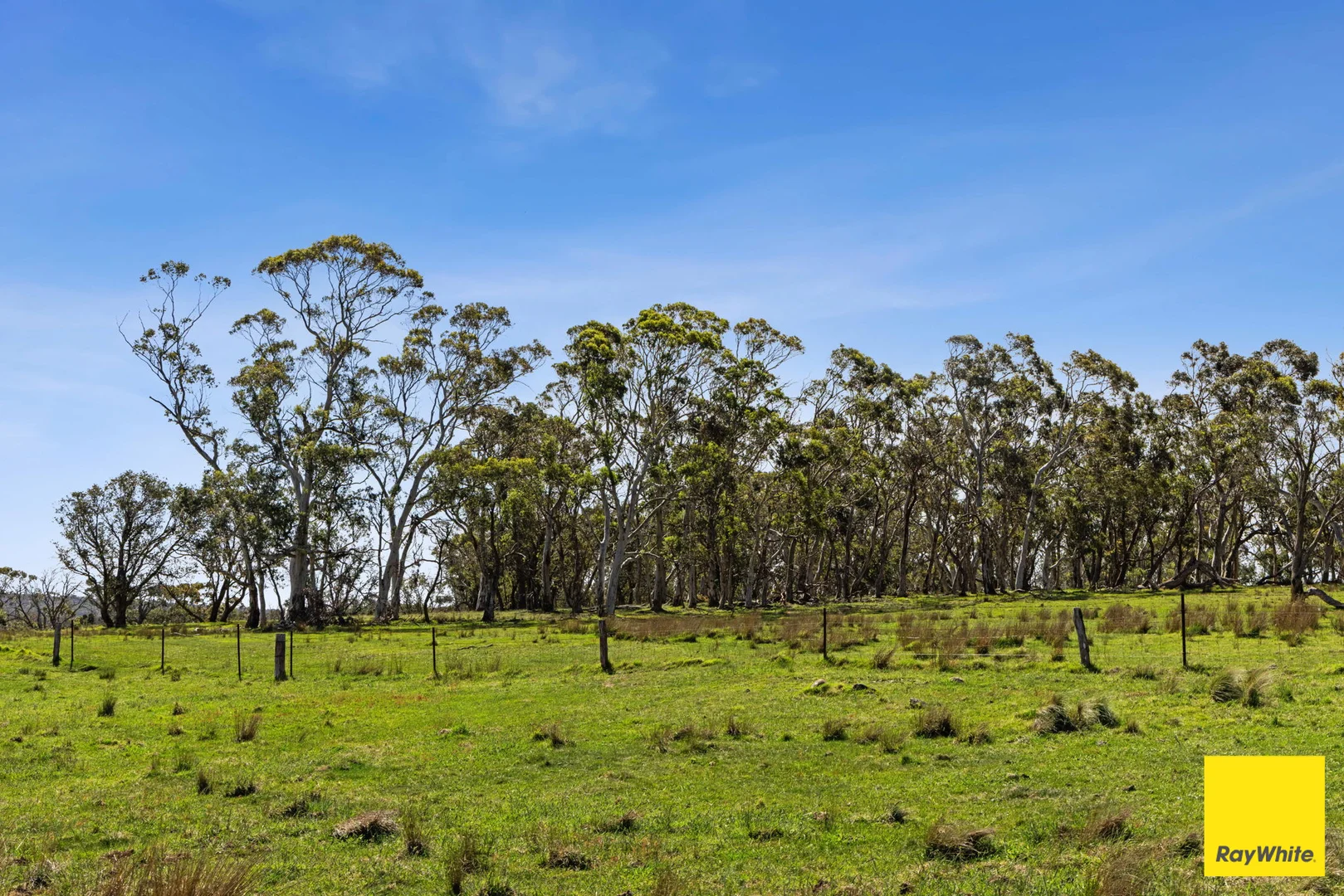Additional image 6 of 115 Goulburn Road, Mulloon NSW 2622