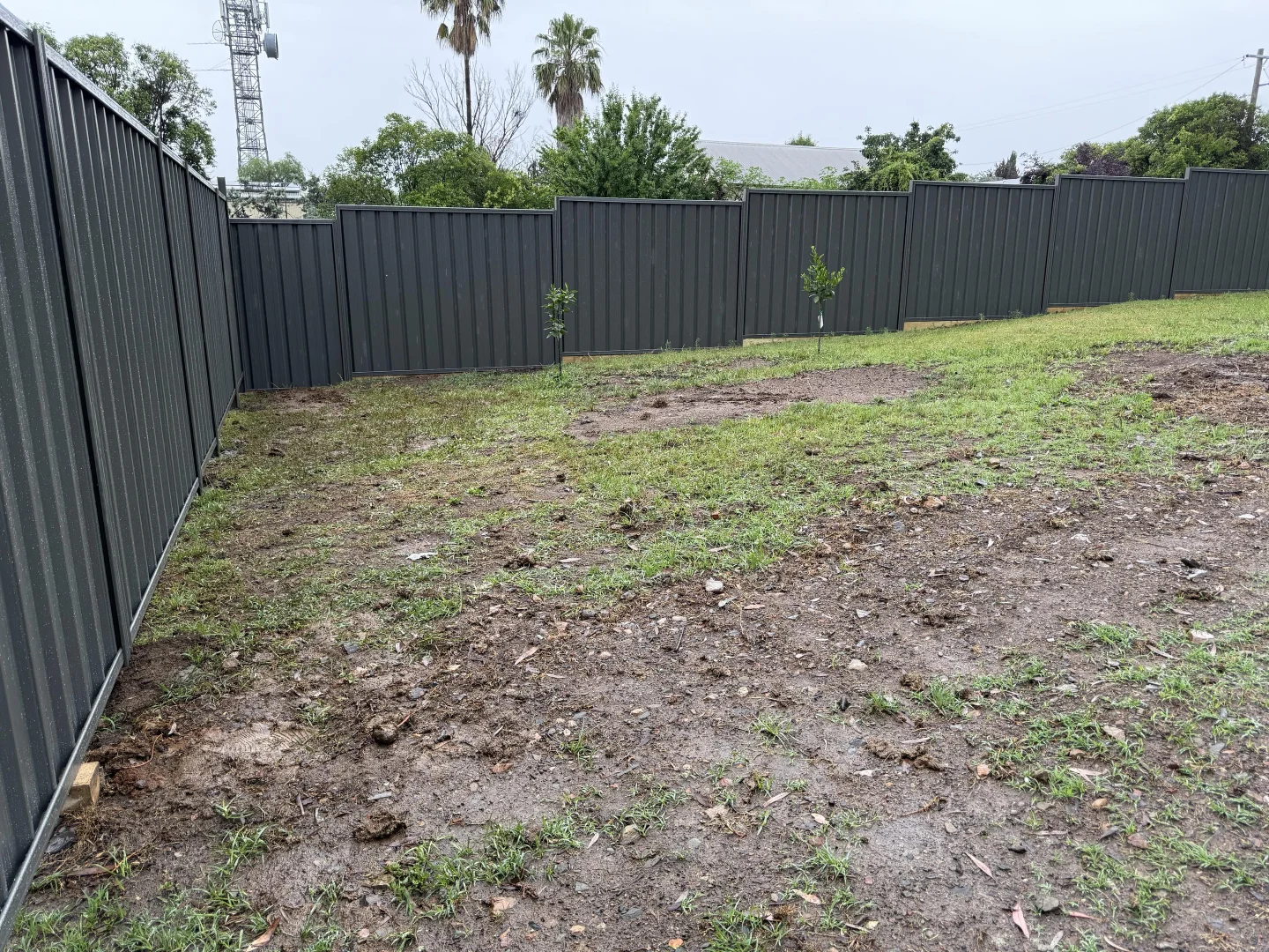 Additional image 19 of 139 Queen Street, Barraba NSW 2347