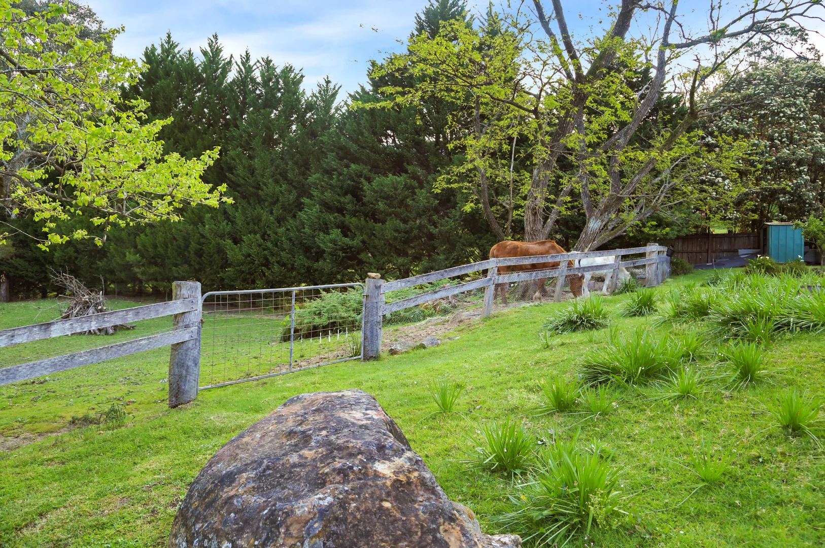 Additional image 39 of 910 Upper Kangaroo River Road, Kangaroo Valley NSW 2577