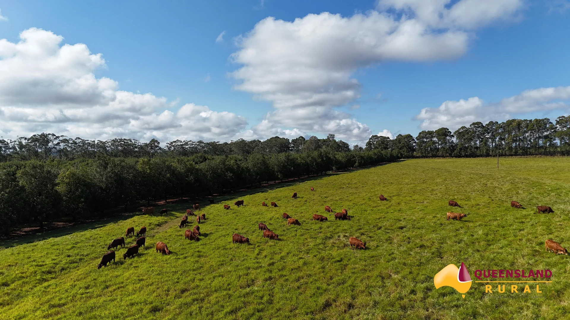 Additional image 4 of Banchio Road, Tolga QLD 4882