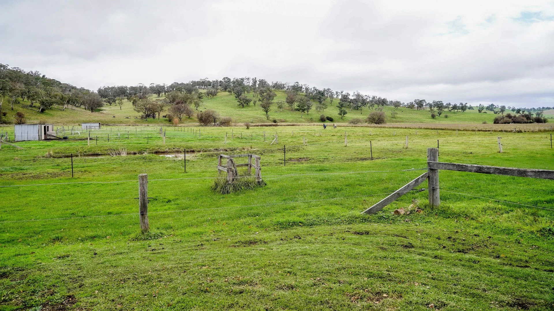 Additional image 31 of 105S Derby Street, Walcha NSW 2354