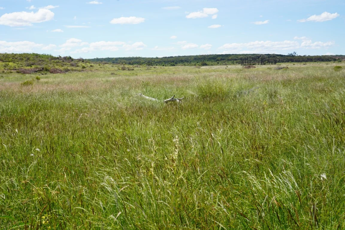 Additional image 17 of 1081 Tareela Access Road, Mungallala QLD 4467