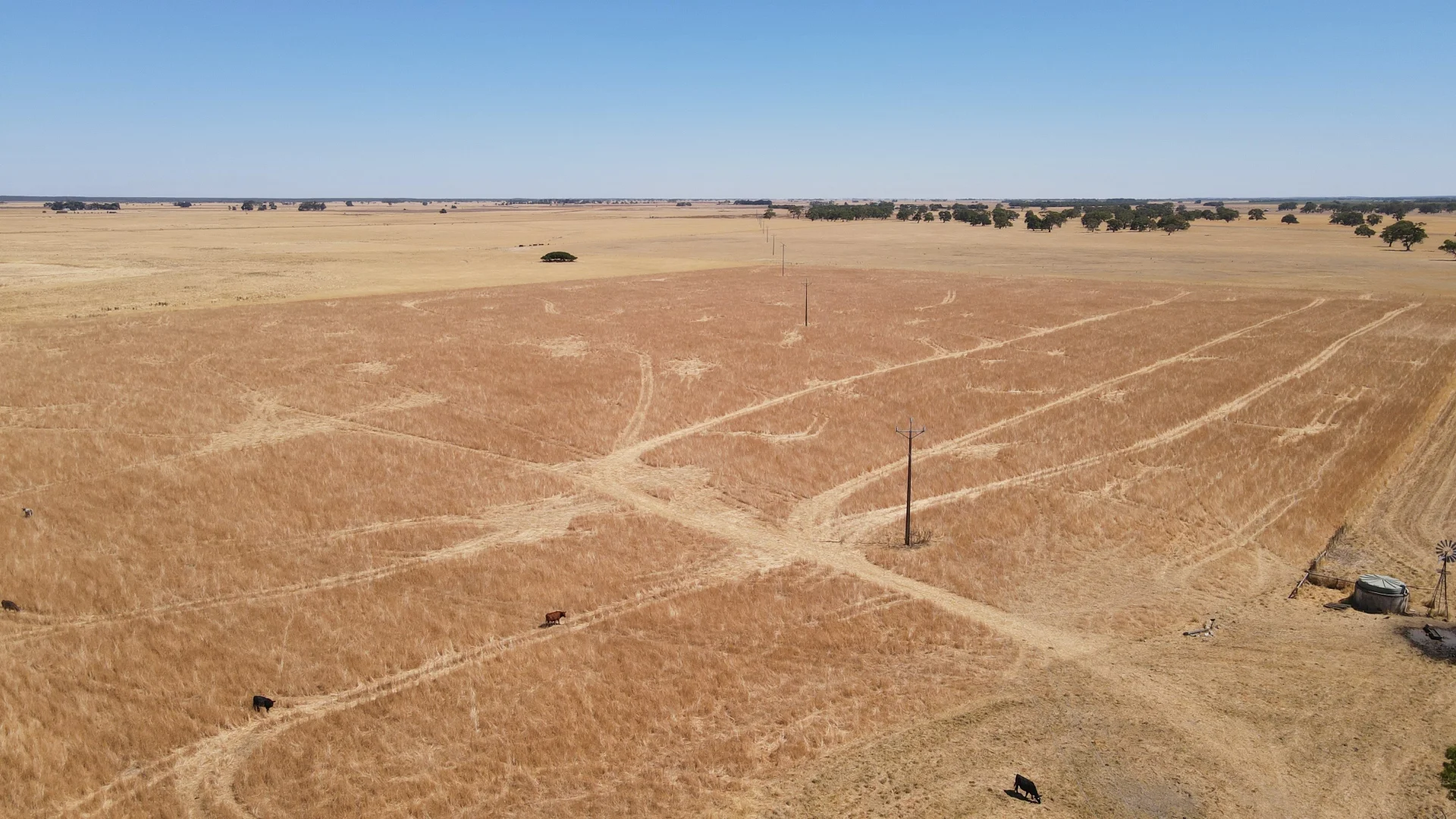 Additional image 7 of 8283 Clay Wells Rd, Penola SA 5277