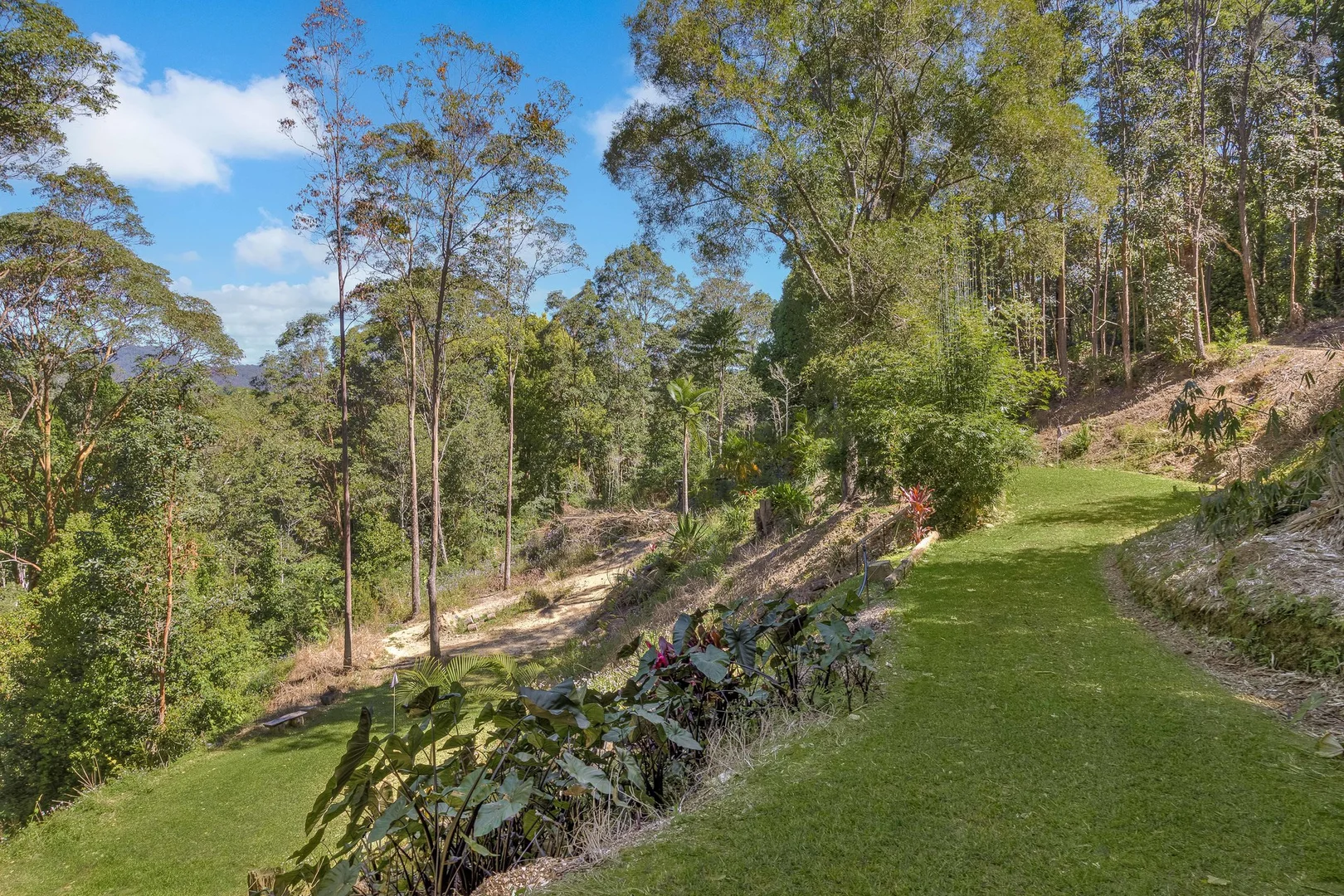 Additional image 26 of 126 Bonnydoon Road, Uki NSW 2484