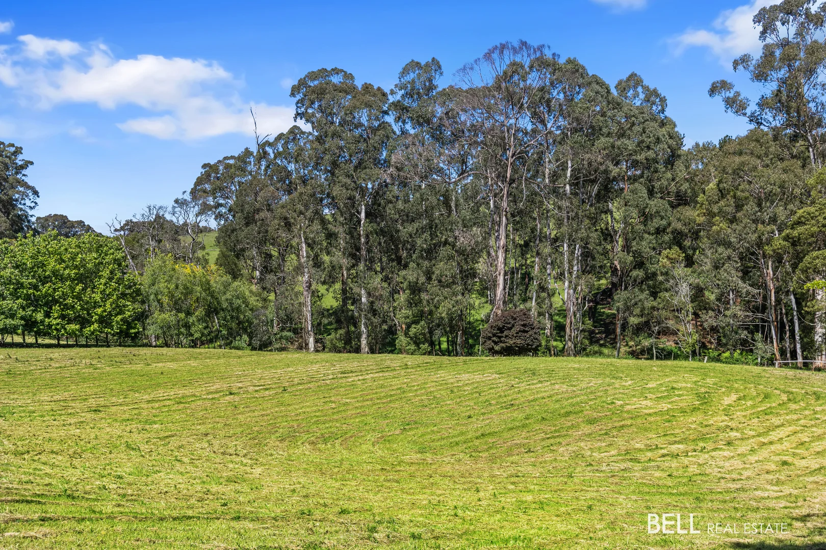 Additional image 4 of 65 Lewis Road, Hoddles Creek VIC 3139