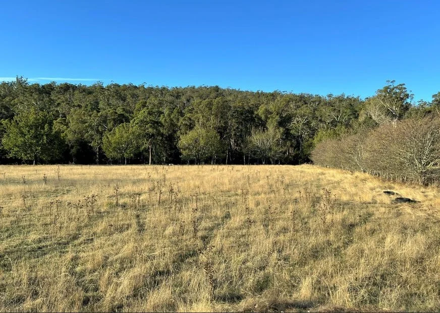 Additional image 26 of 2204 East Tamar Highway, Mount Direction TAS 7252