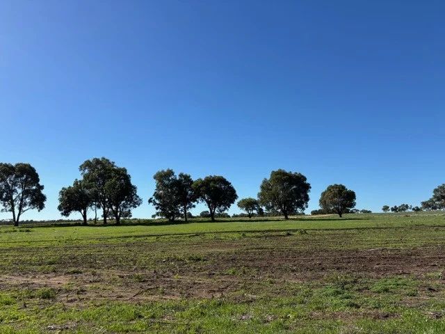 Additional image 3 of 311 Francisco Road, Bonniefield WA 6525