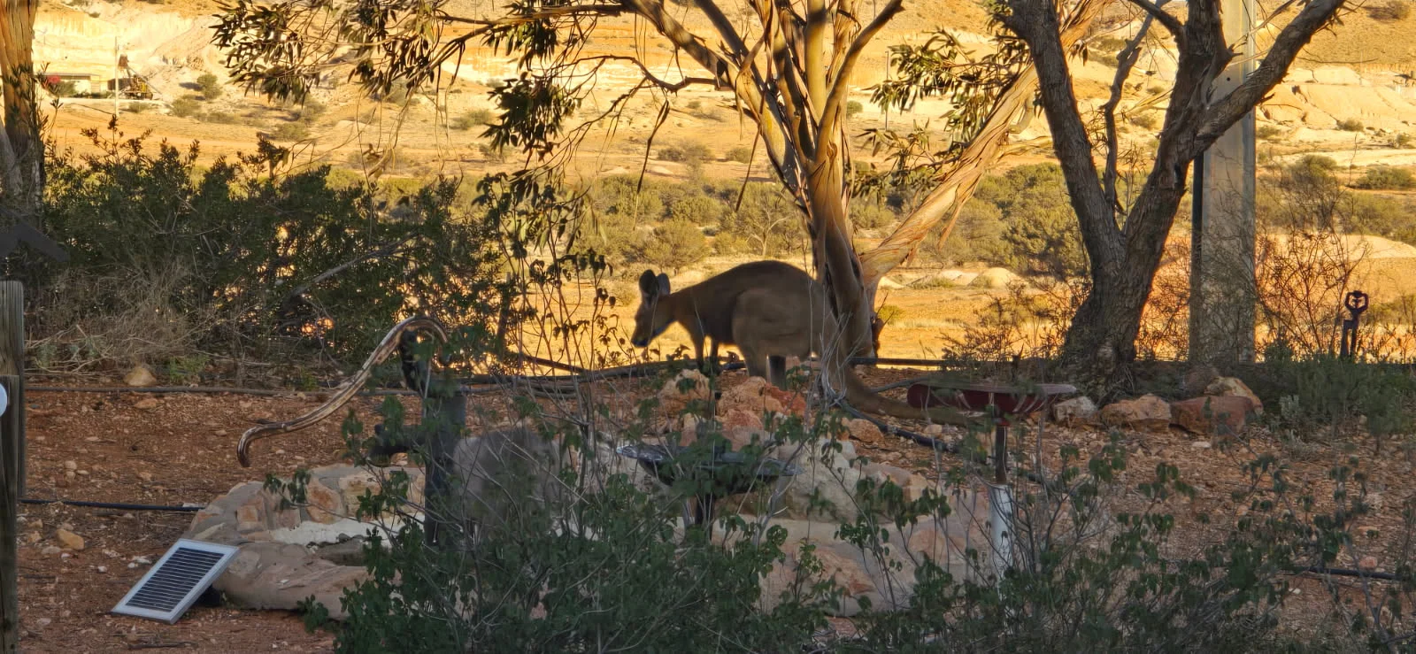 Additional image 17 of Lot 1795 Wedgetail Crescent, Coober Pedy SA 5723