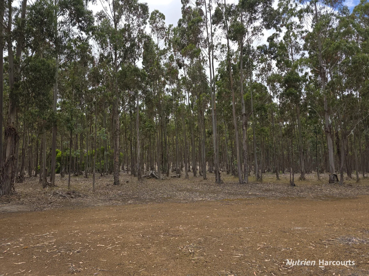 Additional image 21 of 142 Mindijup Road, Palmdale WA 6328