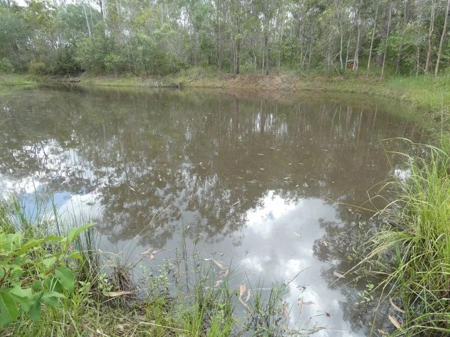 Additional image 8 of 397 Mollenhagens Road, Rosedale QLD 4674