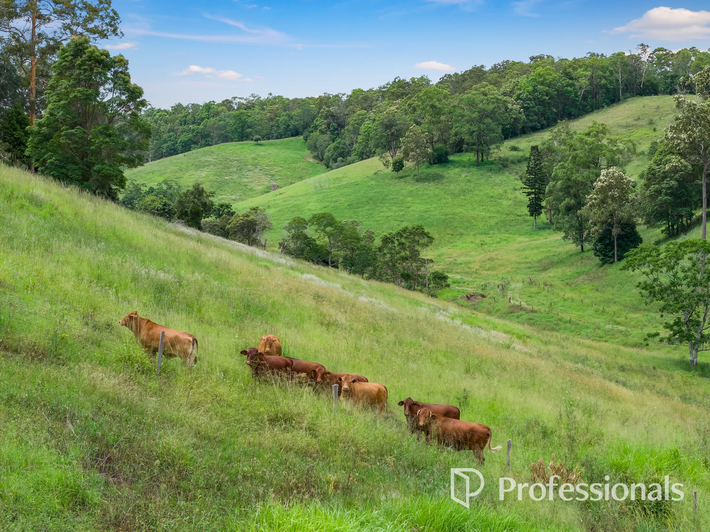 Additional image 8 of 213 Upper Eel Creek Road, Langshaw QLD 4570