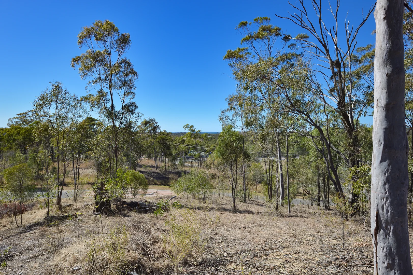Additional image 8 of 3 Tree Tops Close, O'Connell QLD 4680