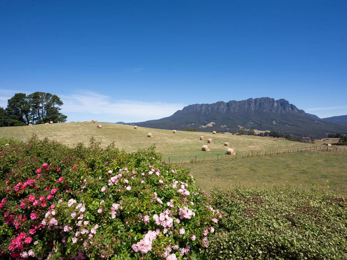 Additional image 41 of 123 Careys Road, West Kentish TAS 7306