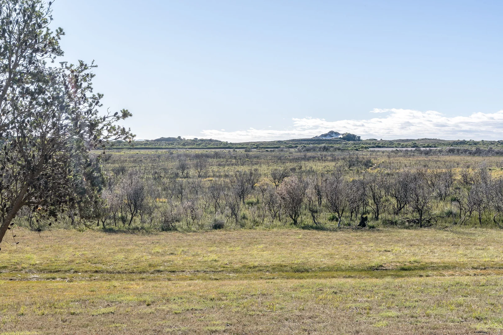 Additional image 35 of 21 Swan Street, Musselroe Bay TAS 7264
