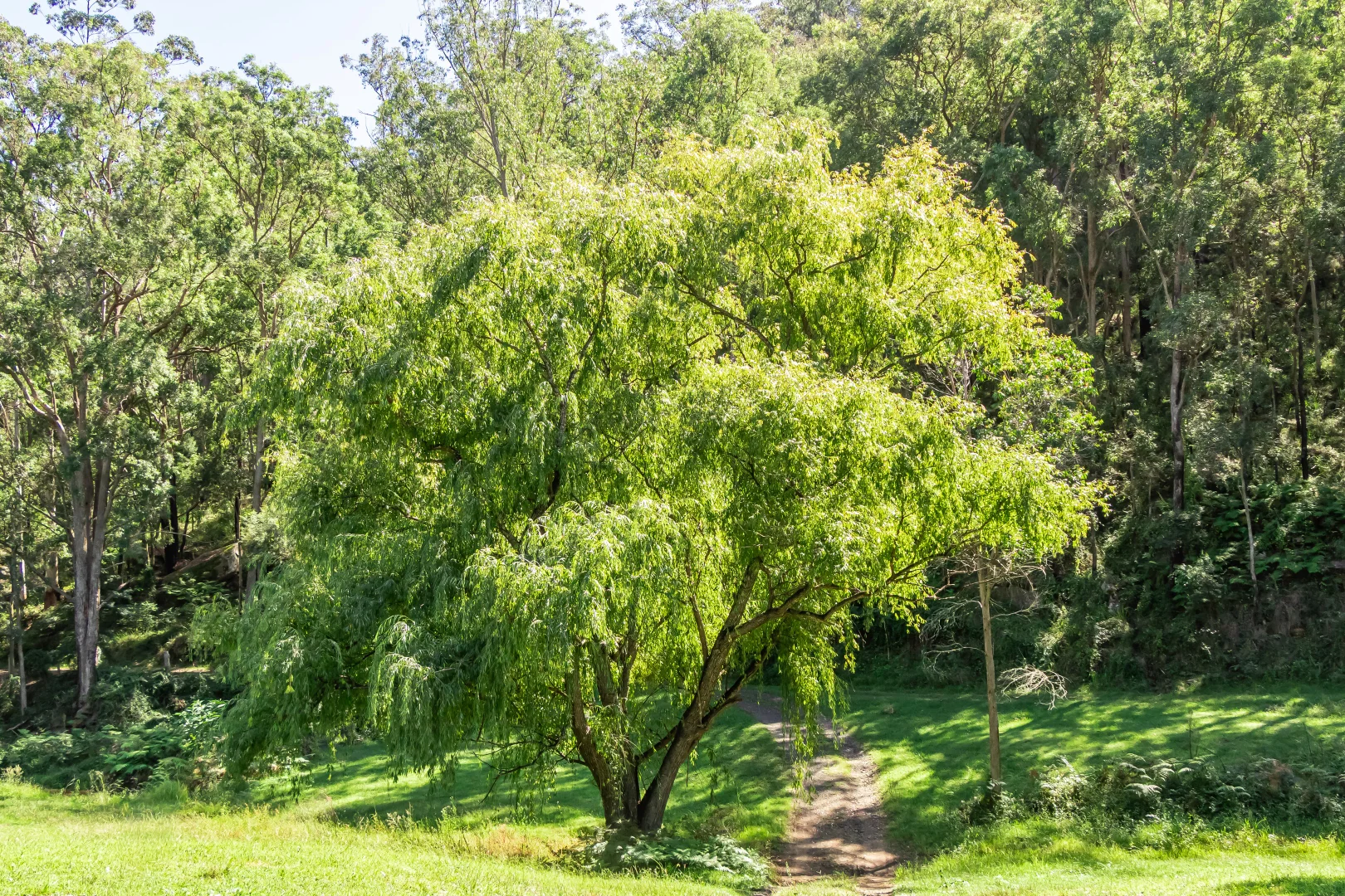 Additional image 33 of Wollombi NSW 2325