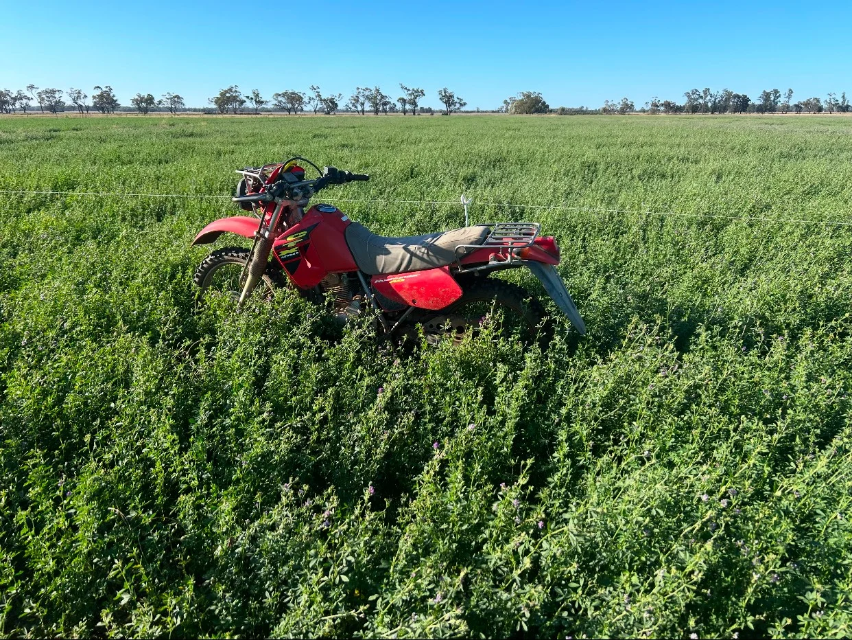 Additional image 6 of 229 Elliots Lane, Forbes NSW 2871