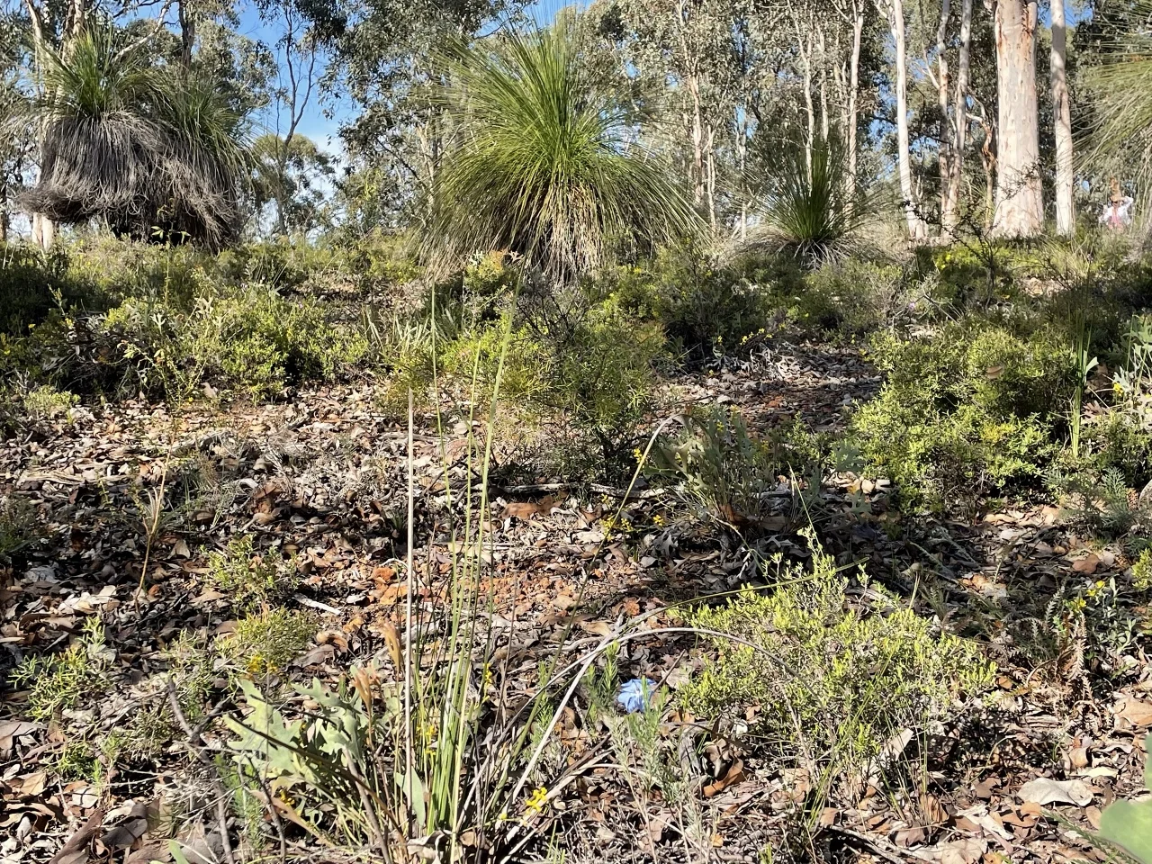 Additional image 19 of 200 Gumley Road, Bakers Hill WA 6562