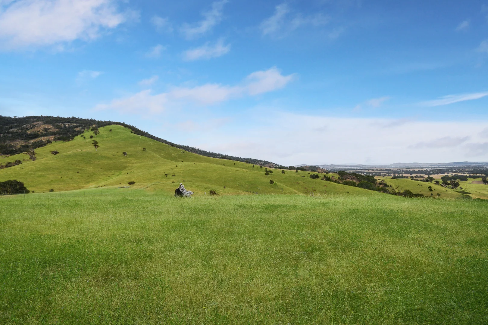 Additional image 32 of LOT 2 ON PS716983N L J DAWSON ROAD, Elmhurst VIC 3469