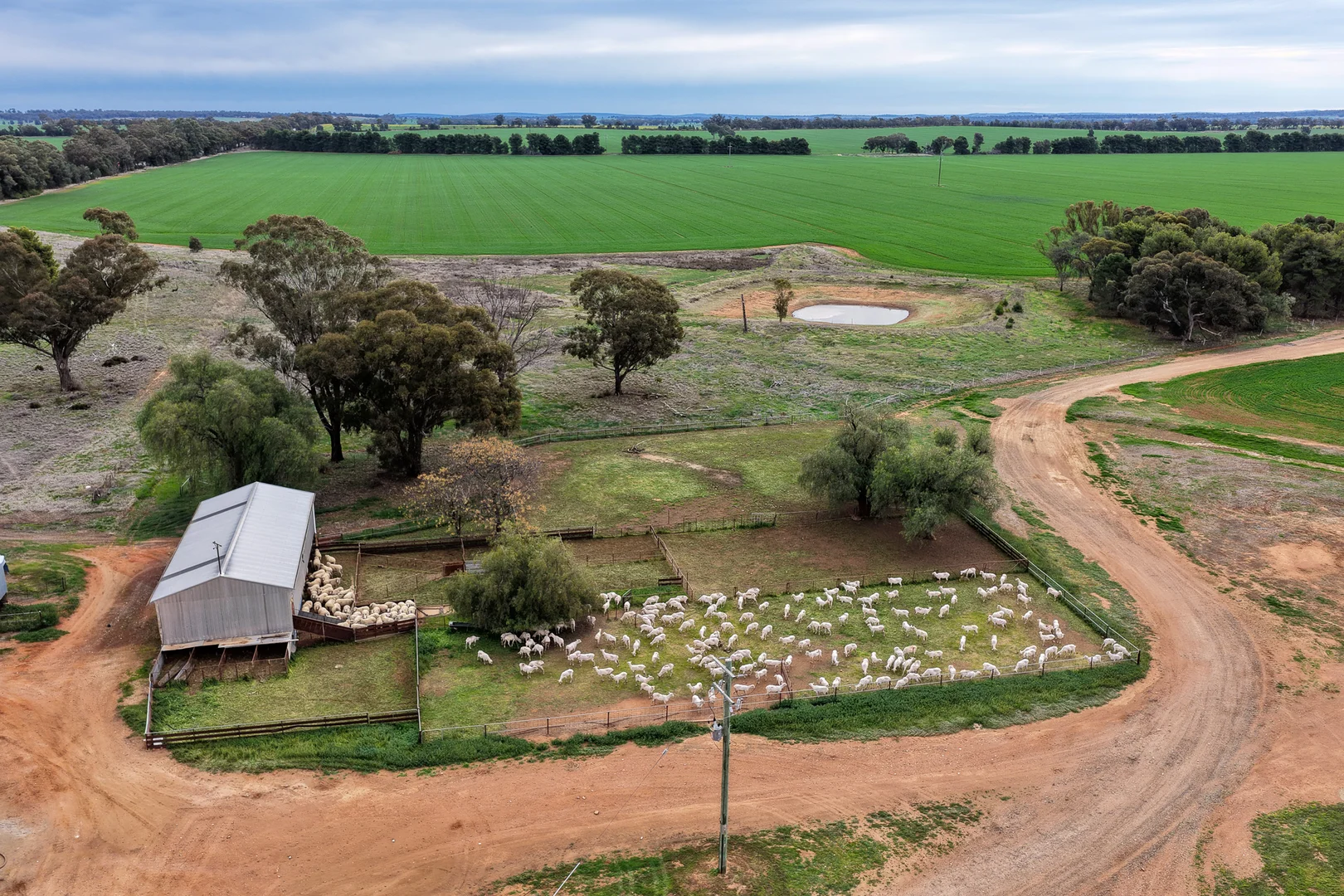 Additional image 15 of Weise Aggregation, Beckom, Ardlethan,, Ariah Park NSW 2665