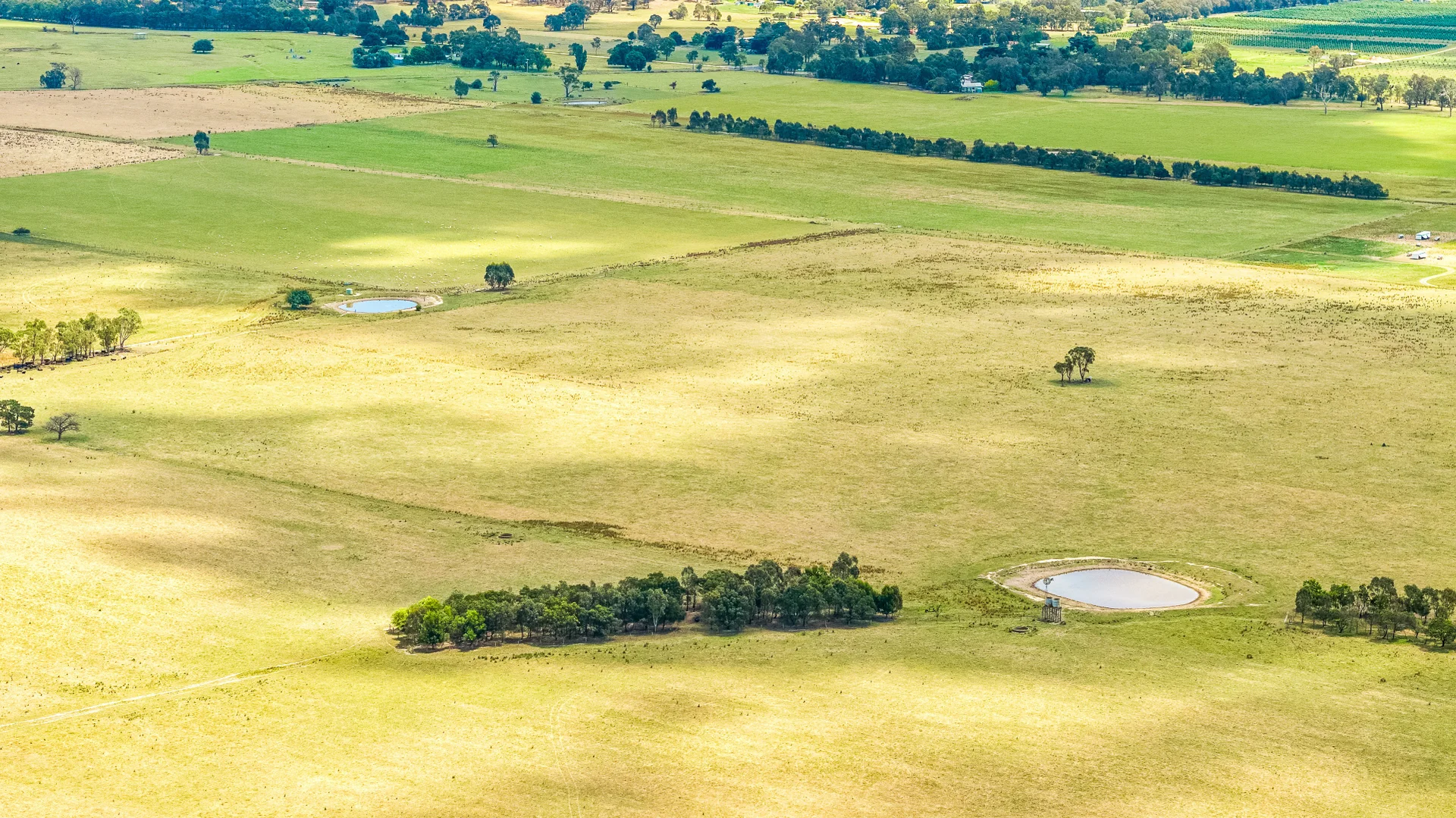 Additional image 5 of 480 Toongabbie Cowwarr Road, Cowwarr VIC 3857