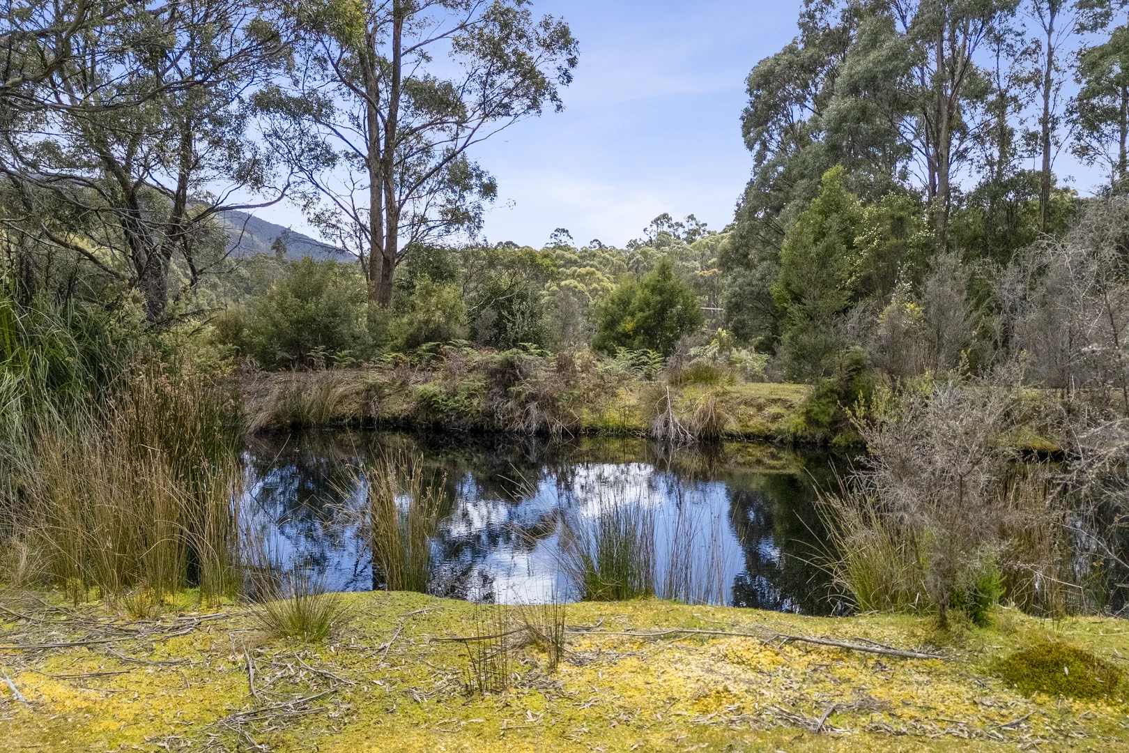 Additional image 4 of 4 Radnors Road, Port Arthur TAS 7182